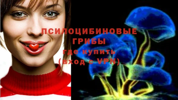 мдпв Беслан
