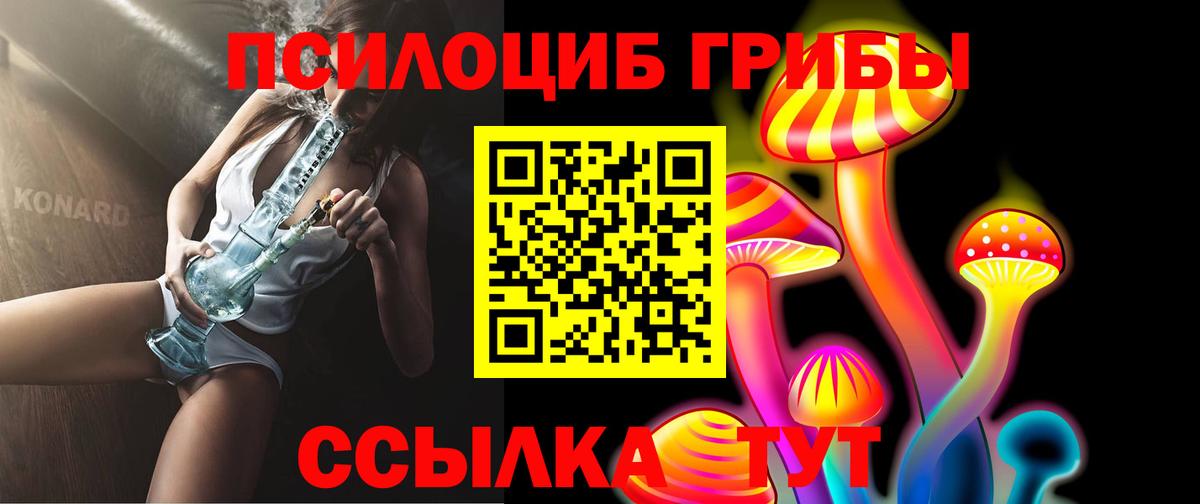 Муравленко  Псилоцибиновые грибы Psilocybe  Вход с VPN  Псилоцибиновые грибы Psilocybe 
